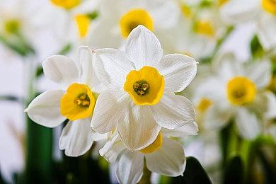 Xbox金会员十月会免游戏公布 《逆风停航》等